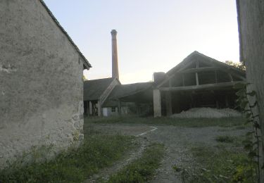 Tocht Te voet Villemer - Basse vallée du Lunain - Photo