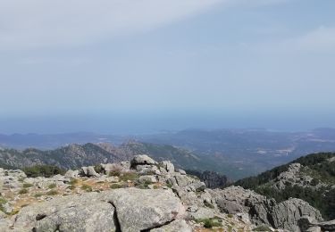 Trail Walking Zonza - Zonza Bocca d'Illarata- onte Calva - Photo