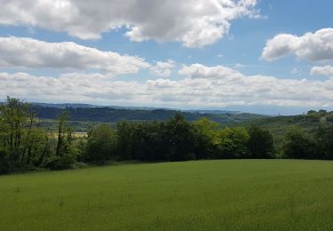 Tocht Fietstoerisme Hauterives - Hauterive - Crest - Photo