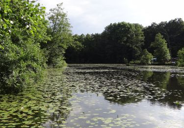 Randonnée A pied Rheurdt - Littard Rundweg A1 - Photo