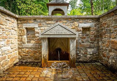 Tour Wandern Spa - SPA 16 - Wasser in all seinen Facetten 🟨 - Photo