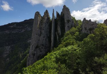 Tour Wandern Pennes-le-Sec - les lames de Pennes  - Photo