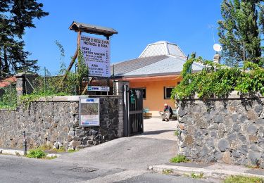 Percorso A piedi Rocca di Papa - Circuito delle Faete di Rocca di Papa - Photo