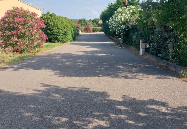Tocht Wegfiets Montjoyer - vel montj 22 06 - Photo