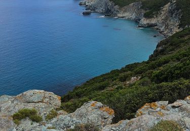 Percorso Marcia Ersa - cap corse - Photo