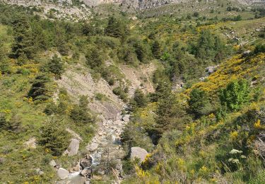 Tour Wandern La Robine-sur-Galabre - 16-06-2023  Ainac Lambert - La Petite Cloche  - Photo