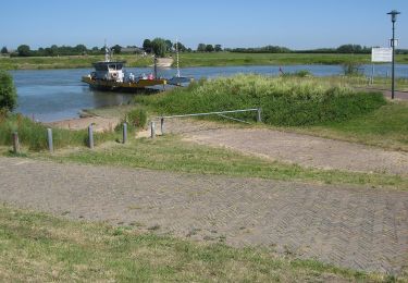 Tour Zu Fuß Rheden - Dwars door Gelderland (19) - Photo