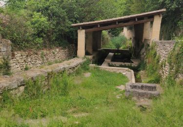 Tour Wandern Sanilhac-Sagriès - Sagries - Garrigues - Photo