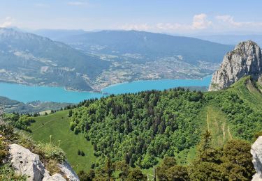 Tour Wandern Thônes - TALAMARCHE depuis Montremont - Photo