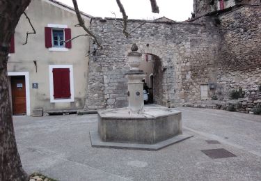 Tocht Stappen La Roque-sur-Pernes - de la Roque au Beaucet 84 - Photo