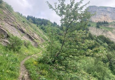 Trail Walking Cléry - Chalet balme chemin col fougères  - Photo