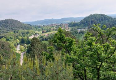 Tour Wandern Bruyères - Bruyères  l'Avison - Photo