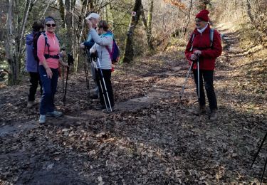 Excursión Senderismo Chaumeil - suc au may - Photo
