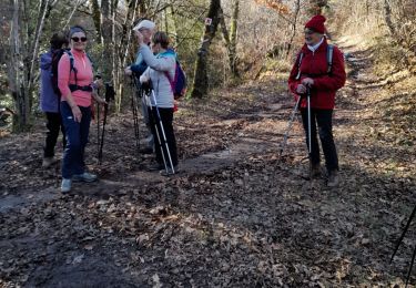 Tour Wandern Chaumeil - suc au may - Photo