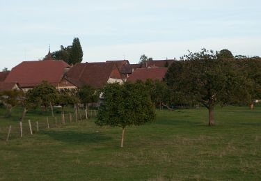 Tour Zu Fuß Vuarrens - Le Tour du Gros-de-Vaud - Photo