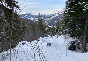 Tocht Sneeuwschoenen Manigod - S7 - Photo