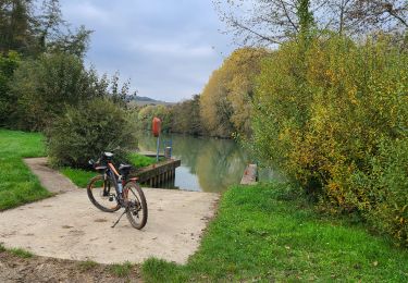 Trail Mountain bike Château-Thierry - Sortie VTT du 27/10/2024 - Photo