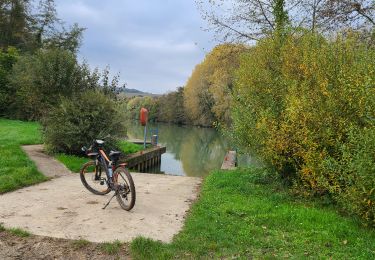 Tocht Mountainbike Château-Thierry - Sortie VTT du 27/10/2024 - Photo