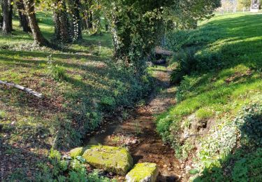 Percorso Marcia Jaure - Petite Boucle Chateau de Jaure  - Photo