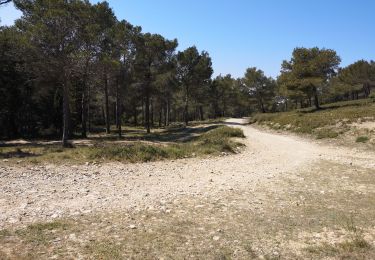 Tocht Mountainbike Saint-Étienne-du-Grès - [PAT] Mini Rando VTT - Photo