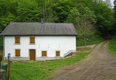 Tour Zu Fuß Park Hosingen - Klangwanderweg - Photo