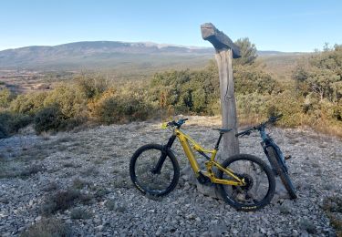 Trail Mountain bike Mormoiron - Bergerie de Pié gros et Pas du Loup - Photo
