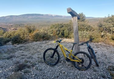 Tour Mountainbike Mormoiron - Bergerie de Pié gros et Pas du Loup - Photo