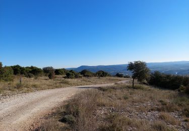 Trail Walking Aniane - grotte des reliques, montcalmes - Photo
