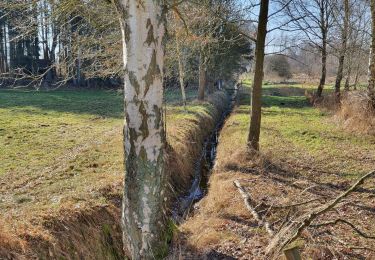 Excursión A pie Scheeßel - Nordpfad 'Wümme und Vareler Heide' - Photo