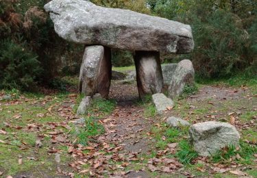 Randonnée Marche Treffiagat - LECHIAGAT - Photo