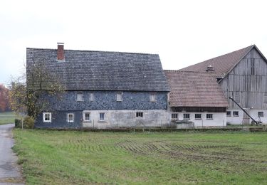 Randonnée A pied Mitwitz - Kirchen-Wanderweg - Photo