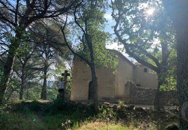 Randonnée Marche Rognes - Rognes virée dans les vignes sur le sentier des vignerons - Photo