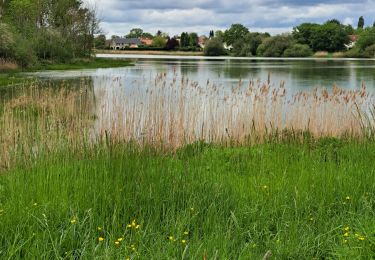 Trail Walking Le Perray-en-Yvelines - Derrière AUCHAN - Photo