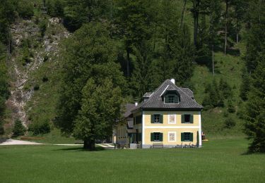 Randonnée A pied Steinbach am Attersee - Aus dem Weißenbachtal auf den Grünalmkogel - Photo