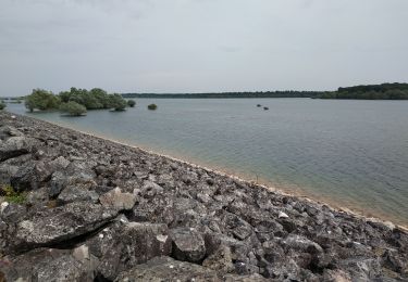 Percorso Bici ibrida La Loge-aux-Chèvres - Tour du lac du temple - Photo
