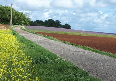 Randonnée Marche Saint-Léger - La Charmouthienne_boucle_Meix-le-Tige_9km_2020-05-01 - Photo