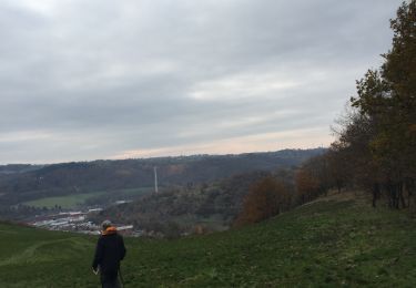 Tocht Stappen Trooz - Forêt de l’autre côté  - Photo