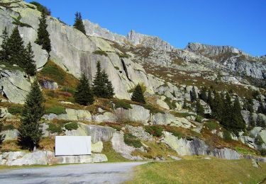 Percorso A piedi Göschenen - Göscheneralp - Horwen - Photo