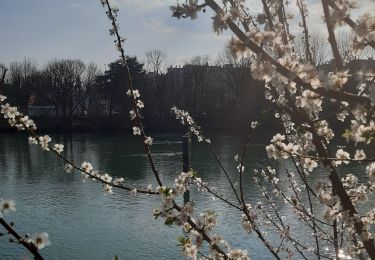 Excursión Senderismo Saint-Maur-des-Fossés - de saint maur des fossés  au lac Daumesnil  - Photo