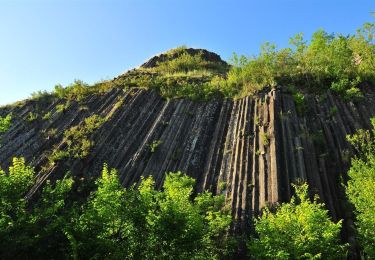 Excursión Senderismo Saint-Rémy-de-Chargnat - St_Remy_Pic_Usson - Photo