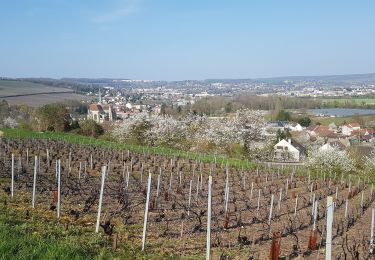 Trail Walking Château-Thierry - D'une rive à l'autre par Azy - Photo