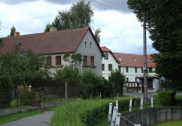 Randonnée A pied Želízy - [M] Kokořín - Zimořský důl - Photo