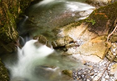 Percorso A piedi Breggia - San Martino - Monte Bibino (I)? - fixme - Photo