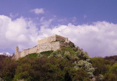 Tour Zu Fuß Csókakő - PL (Mór - Csókakő) - Photo