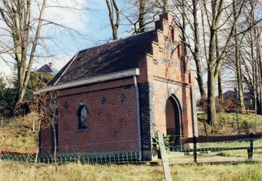 Tocht Te voet Dilsen-Stokkem - Bergerven Gele zeshoek - Photo