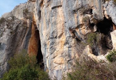 Tocht Stappen Saint-Guilhem-le-Désert - De baume en baumes à St Guilhem  - Photo