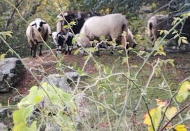 Trail Walking Toulaud - Gorges de l'Embroye  - Photo