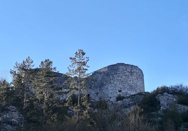 Tour Wandern Dinant - Ruines de Crèvecoeur  - Photo