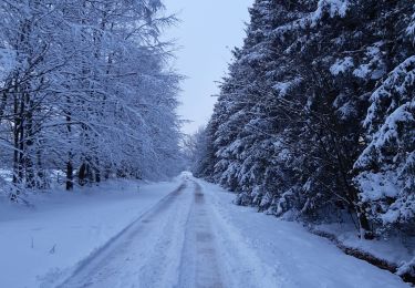 Tocht Stappen Theux - petit tour bronromme 2 - Photo