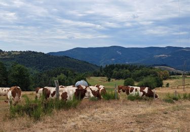 Excursión Senderismo Belsentes - Autour de la Chazalet  - Photo